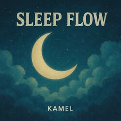 Sleep Flow