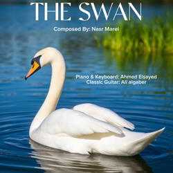 The Swan