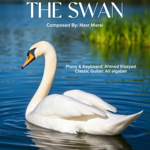 The Swan