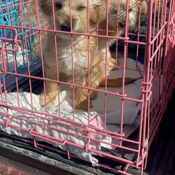 Something better you are