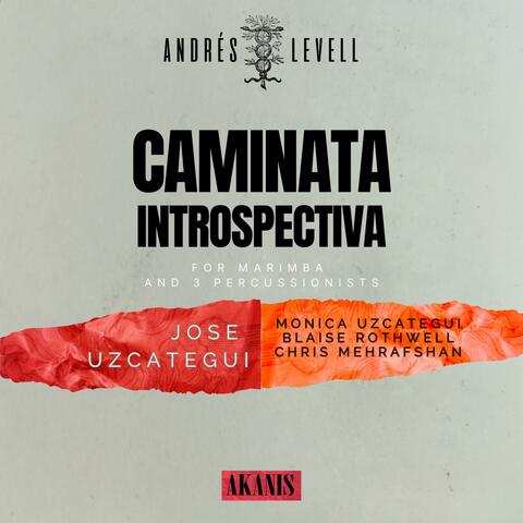 Caminata introspectiva
