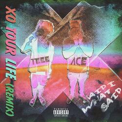 Said What I Said (feat. Midnight Ace)