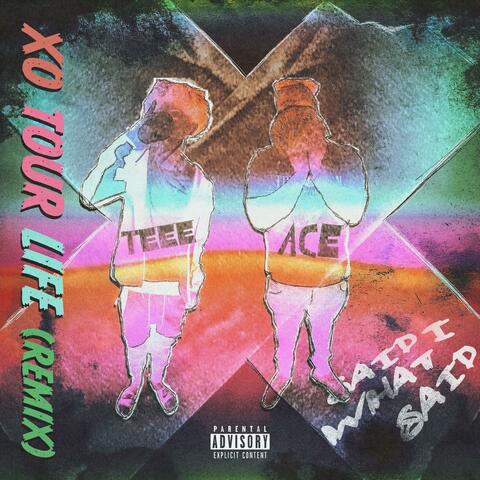 Said What I Said (feat. Midnight Ace)