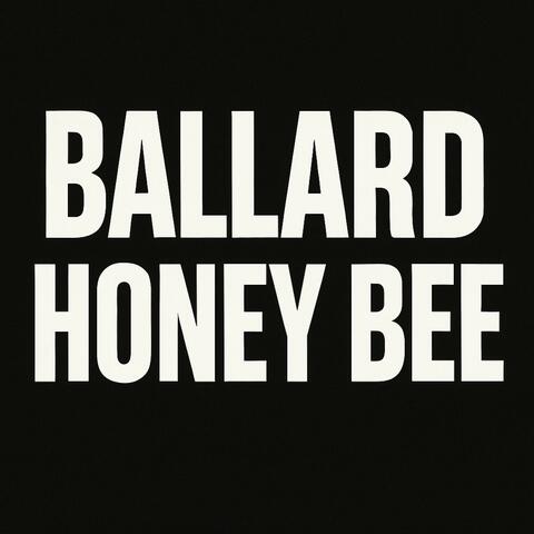 Honey Bee