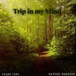 Trip in my Mind (Nature) (feat. Sensory Meditation, Jasper Whisper, Nina Nalo, Alma Lin & Randy Divine)