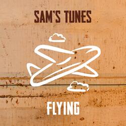 Flying