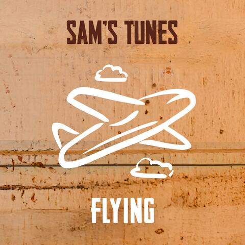 Flying