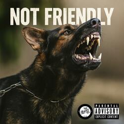 Not Friendly