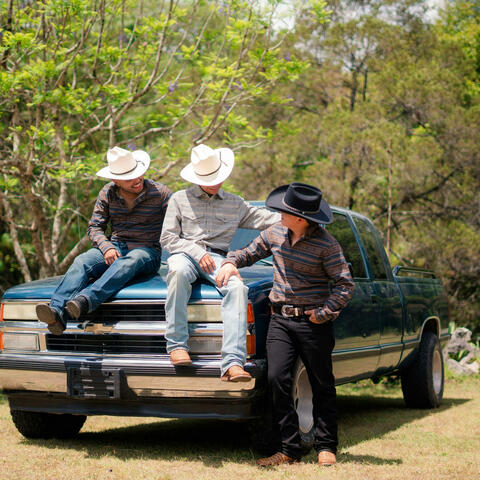 Brothers by Heart