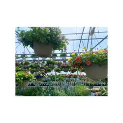 if you feel you've lost your way... (tender)