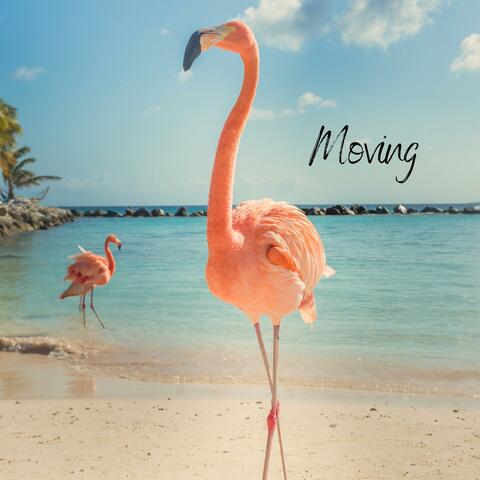 Moving (feat. Sammy River)