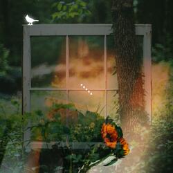 Peace (feat. Chris Renzema)