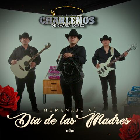 Homenaje Al Día De Las Madres