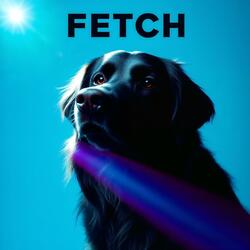 Fetch