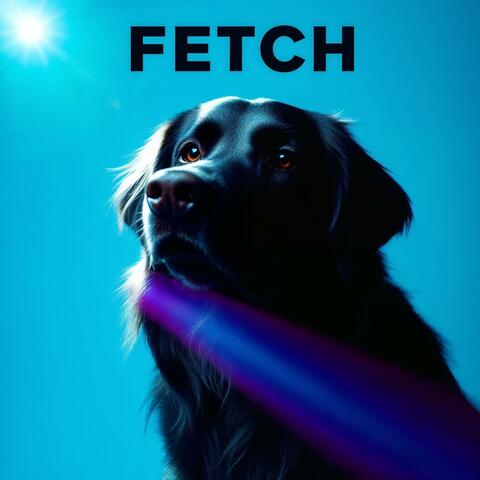 Fetch