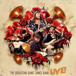 Shelter (feat. Sebastian Saint James) (Live Version)