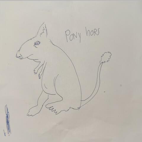 Pony Hors