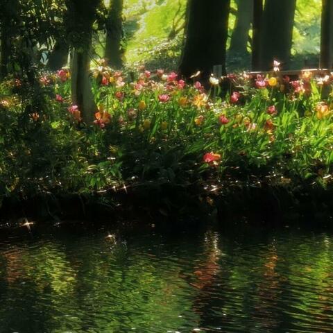 Spiritual Blossoming