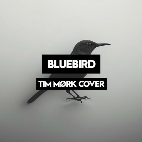 Bluebird (Piano Version)