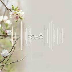 Echo