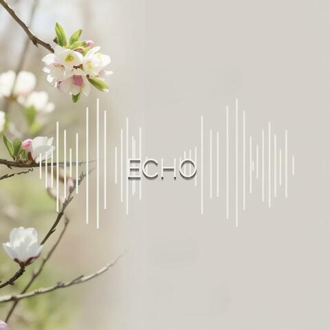 Echo