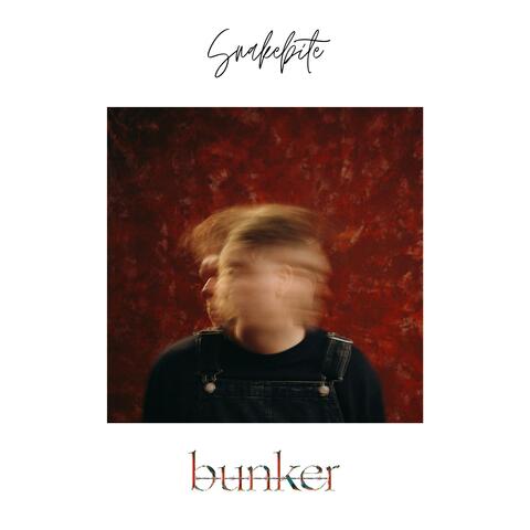 Snakebite