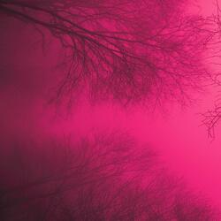 COLD (MOOD RING) (feat. YEAR 3K)