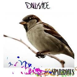 Sparrows