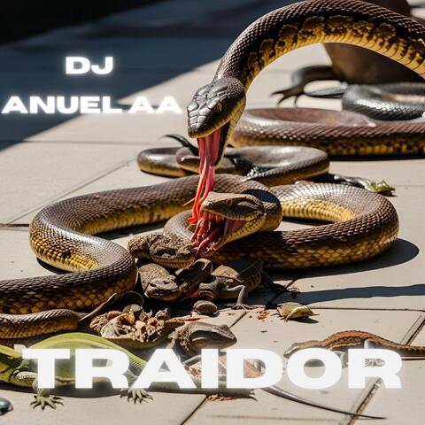 TRAIDOR