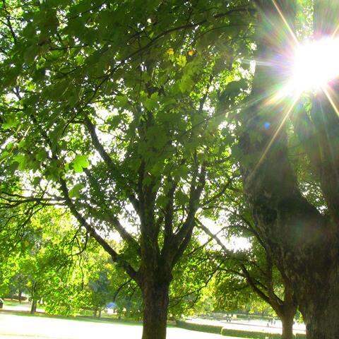 Litt sol, litt regn / Når himmelen faller ned