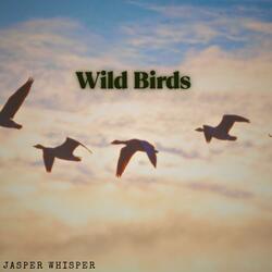 Wild Birds (feat. Ayoub Houmanna, Sensory Meditation, Flame Timo, Nina Nalo & Alma Lin)