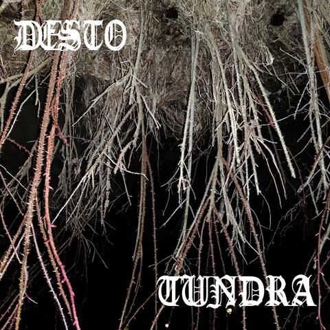 Tundra