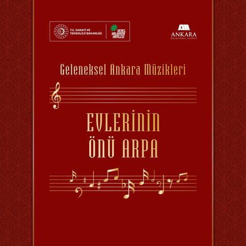 Evlerinin Önü Arpa