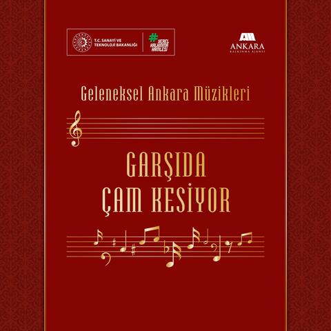 Garşıda Çam Kesiyor