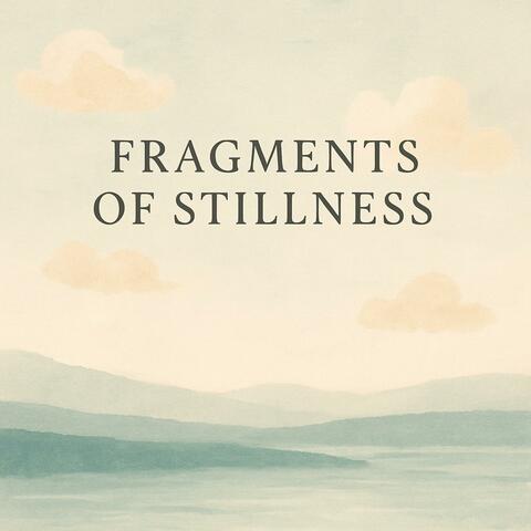 Fragments of Stillness