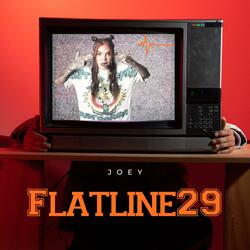 Flatline29