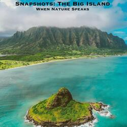 Snapshots: The Big Island