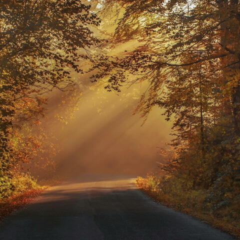 Lost to Time