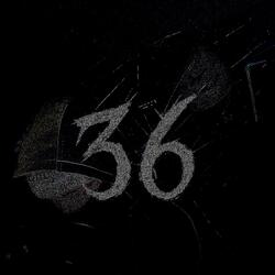FREESTYLE 36