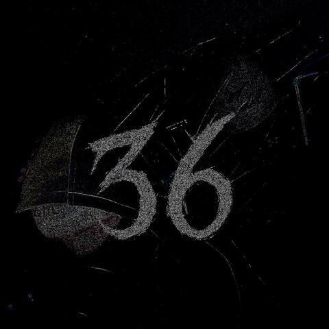 FREESTYLE 36