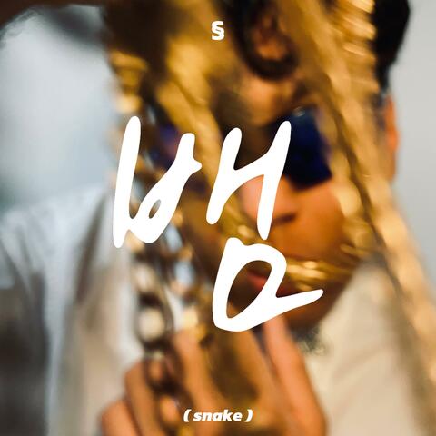 뱀 (snake)