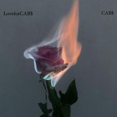LoveforCAB$
