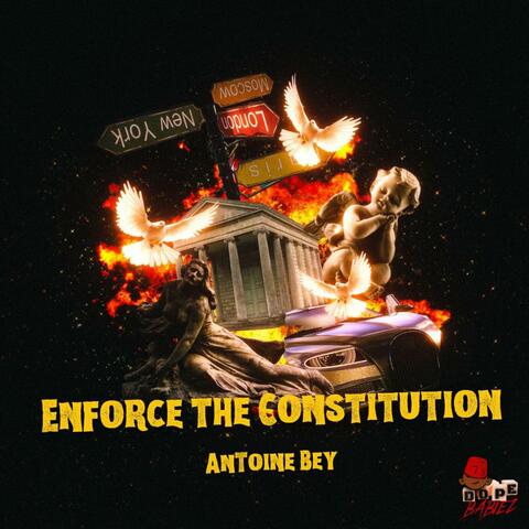 ENFORCE THE CONSTITUTION