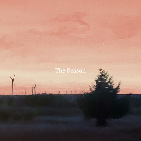 The Reason