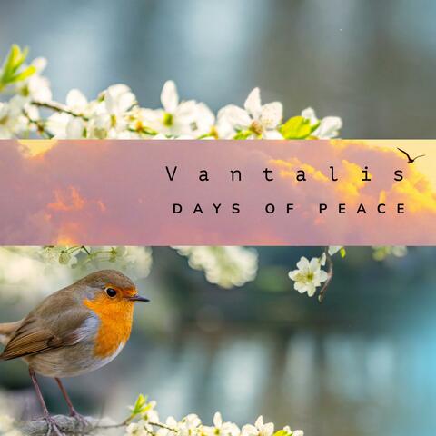Days of Peace