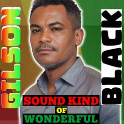 SOUND KIND OF WONDERFUL (feat. GILSON BLACK)