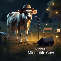 Miserable Cow