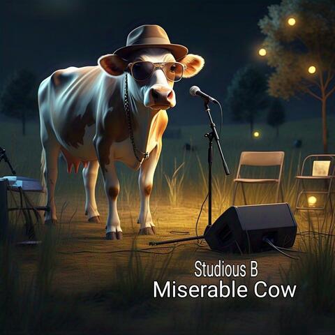 Miserable Cow