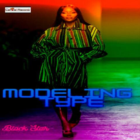 Modeling Type