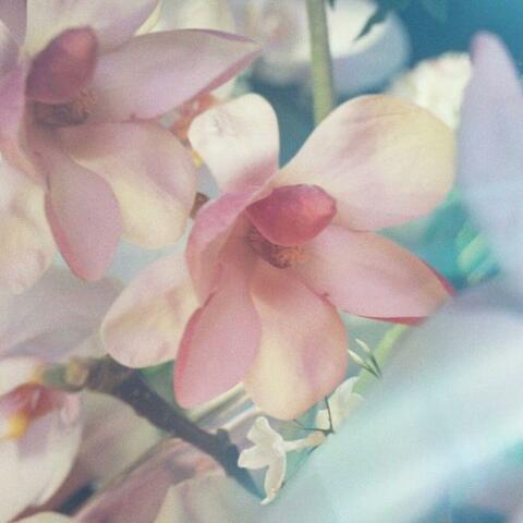 Your subtle beauty